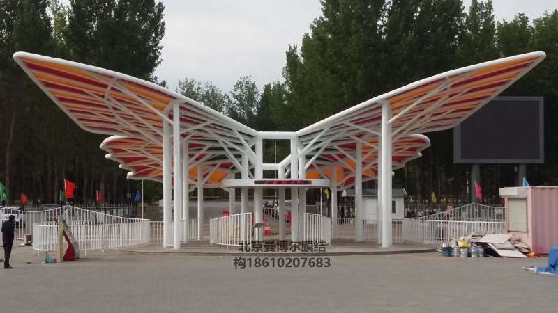 北京顺义区七彩碟蝴蝶