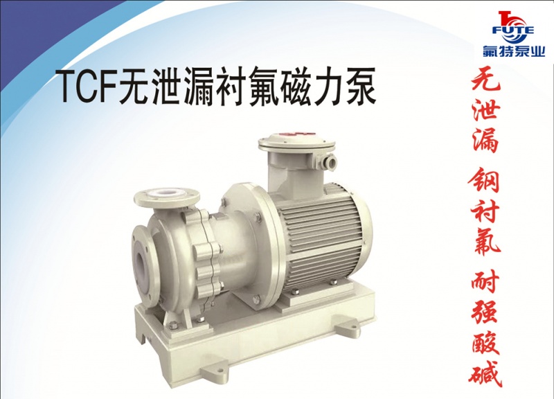 安徽氟特化工泵业有限