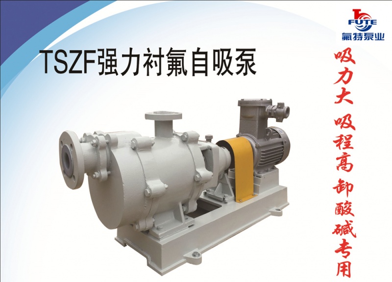 安徽氟特化工泵业有限