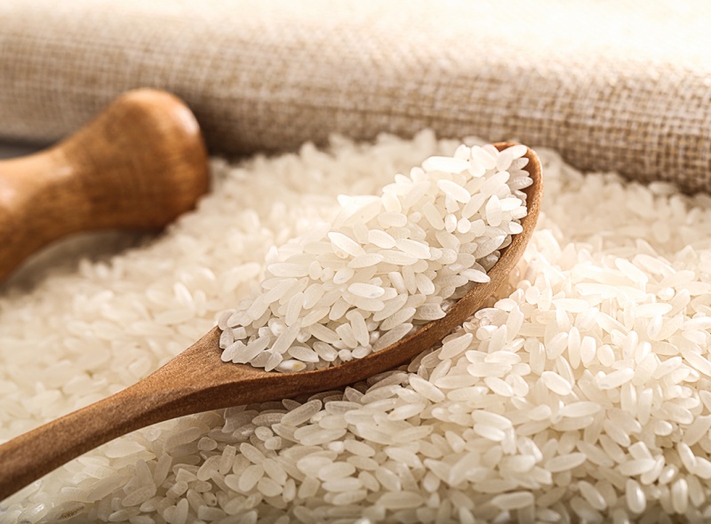 粮食及其加工品