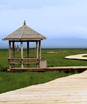 若尔盖风景区防腐木景观工程