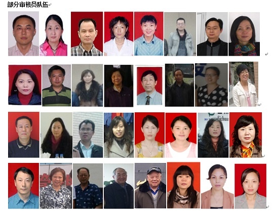 部分审核人员