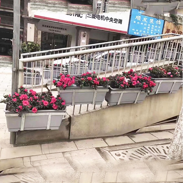 人行天桥花盆