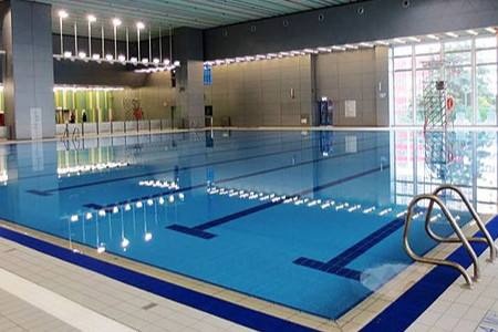 场馆泳池