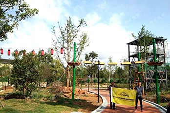 贵州盘州刘官树上探险