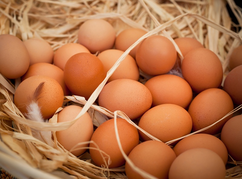 鸡蛋