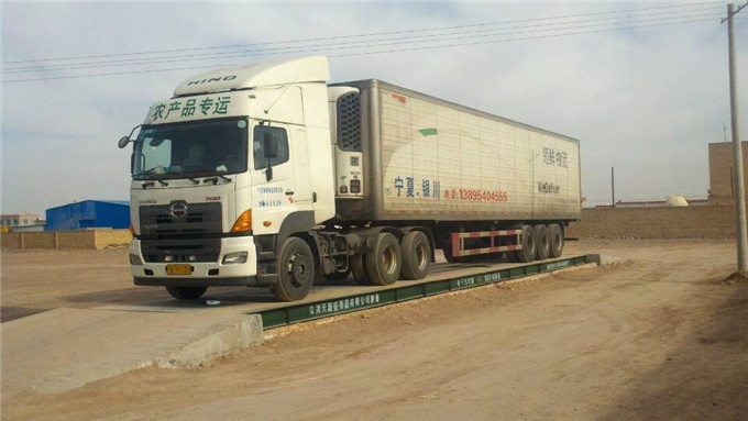 定边山虎洋芋合作社