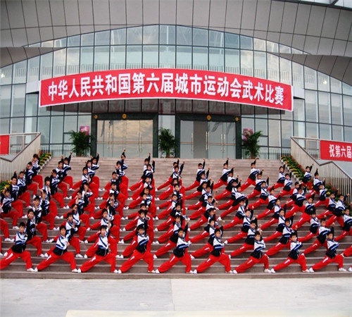 第六届城市武术大赛