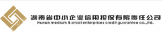 湖南省中小企业融资担保有限公司