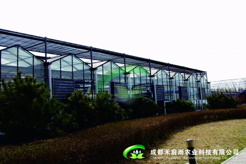 Venlo式玻璃温室