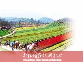 “三农”美丽乡村建设