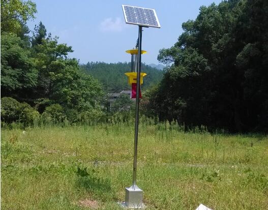 太阳能杀虫灯
