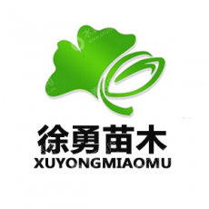 临沂徐勇苗木有限公司
