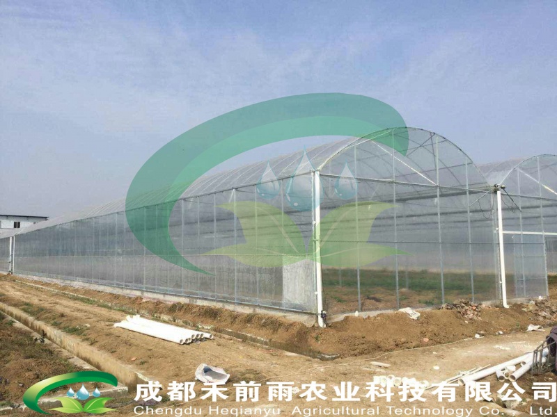 连栋钢管薄膜温室