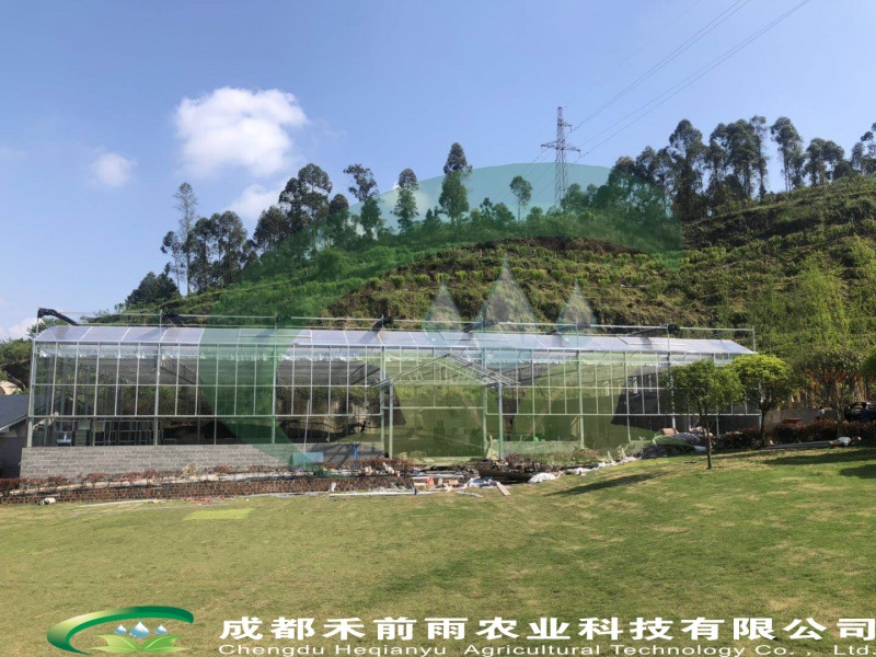 乐山犍为凤凰山庄生态