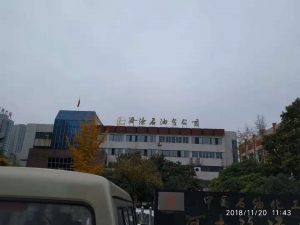 中石化济源分公司防雷