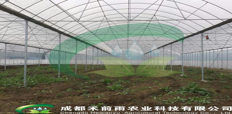 连栋钢管薄膜温室