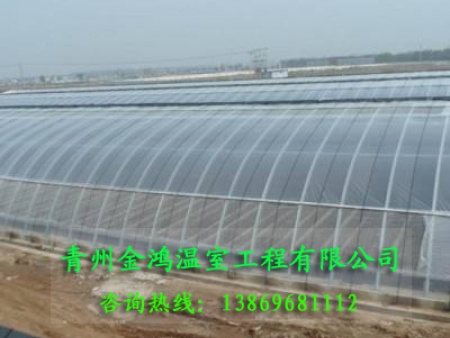 日光温室大棚