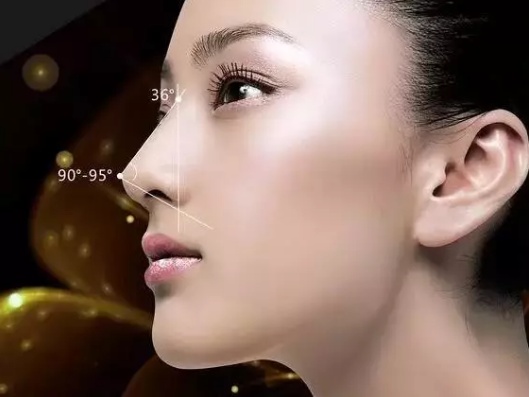 拿不准选什么样的鼻子