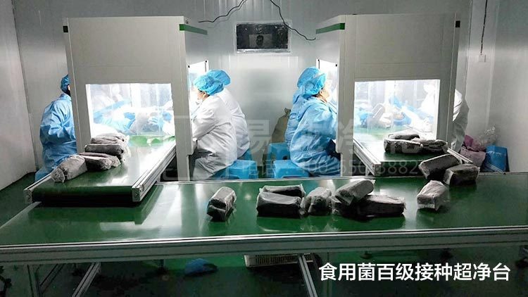食用菌净化车间设计、施工、安装、检测专业厂家