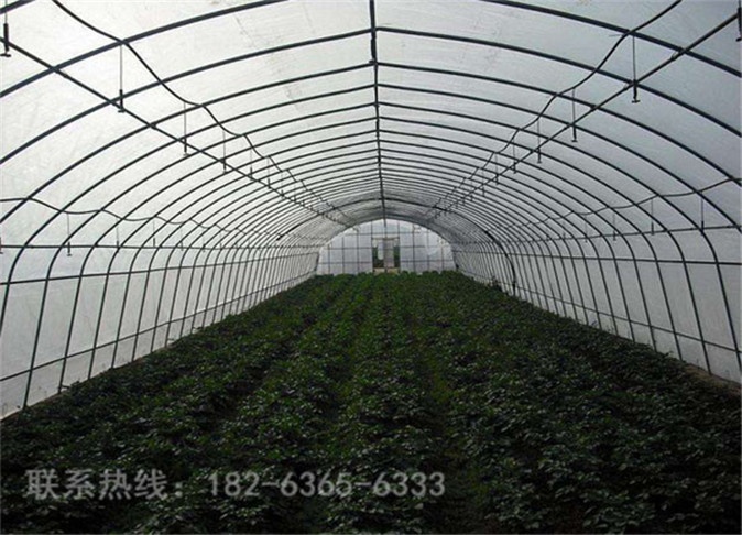单栋温室大棚