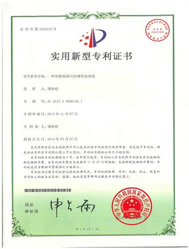 技术优势