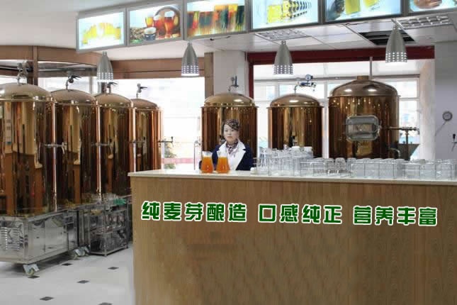 酒店啤酒设备