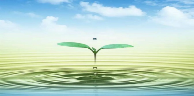 纯化用膜分离技术