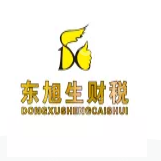 深圳市东旭生财务代理有限公司
