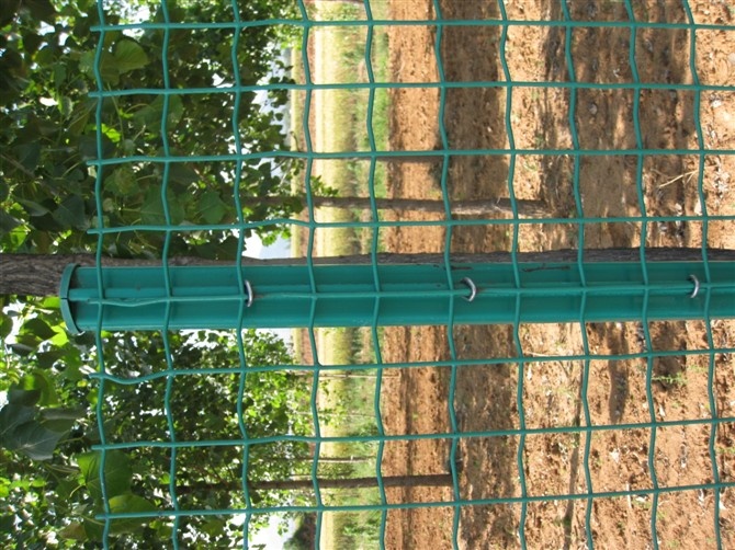 散养鸡围栏网