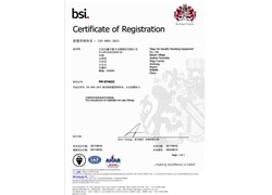 BSI认证证书