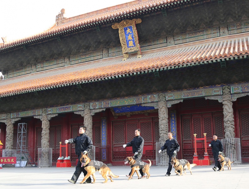三孔项目犬防巡逻