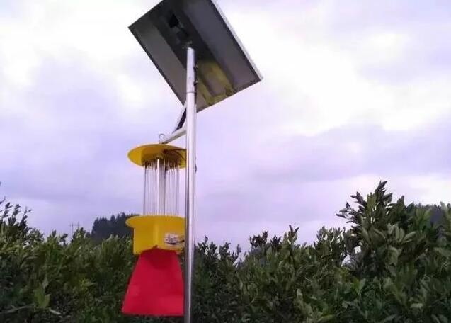 太阳能杀虫灯