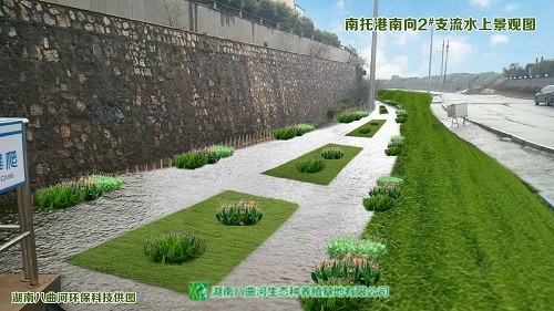 海安县水上花卉