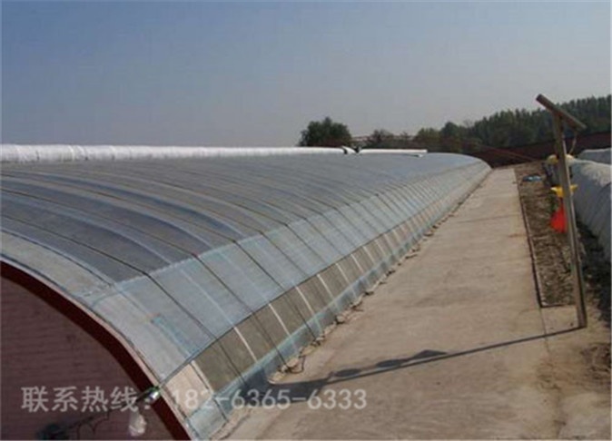 单栋温室大棚