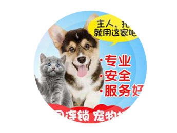 国际国内宠物托运