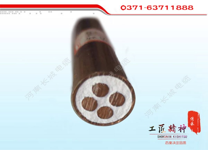 工业专用电缆4