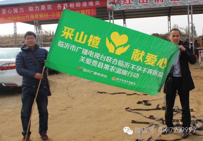 山楂滞销我来帮 临沂不孕不育医院费县爱心公益行