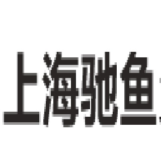 上海驰鱼贸易有限公司