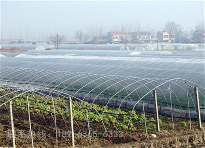 蔬菜温室大棚