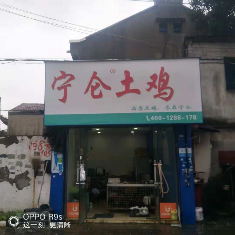 宁仑土鸡-东河路店