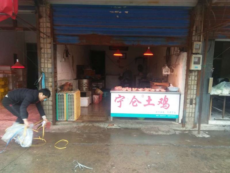 宁仑土鸡-庄市店