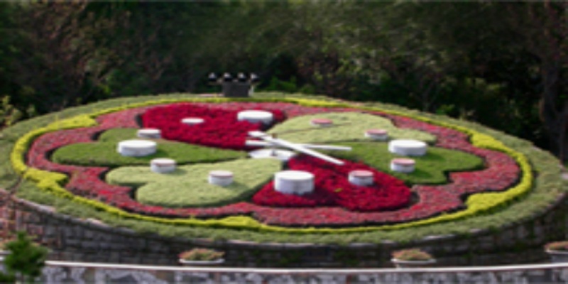 户外大型花坛钟