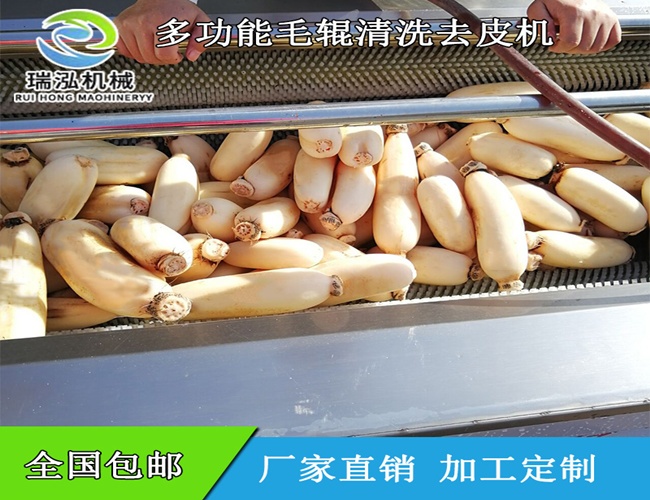 莲藕毛辊清洗机
