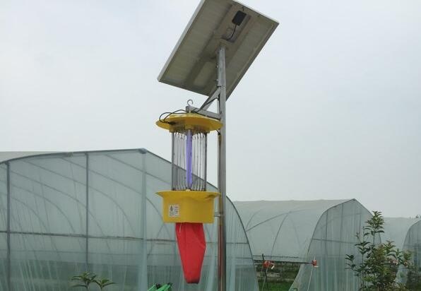 太阳能杀虫灯
