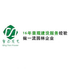 上海擎忝花卉园艺有限公司