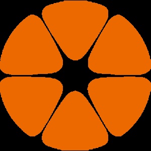 深圳市聚橙网络技术有限公司