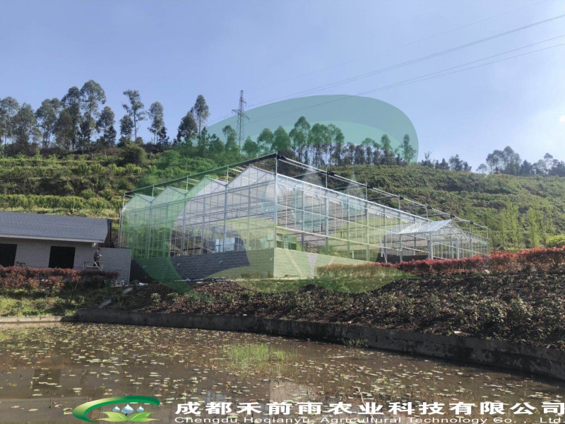 乐山犍为凤凰山庄生态