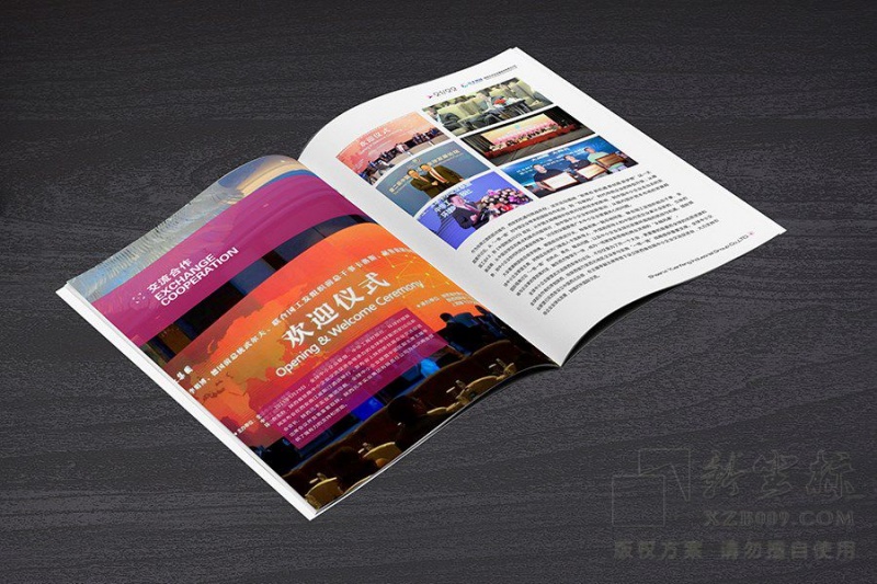 西安元丰集团企业画册设计