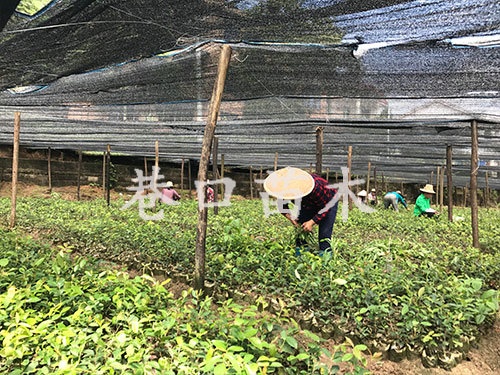 生产展示